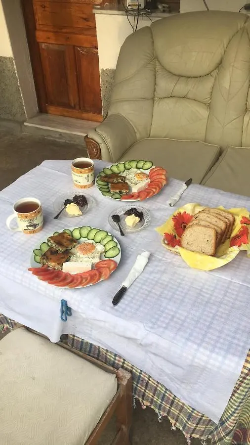 Flora'S Guesthouse 'The Fir Gate' Gjirokastër 阿尔巴尼亚